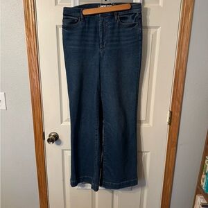 Lands' End Dark Blue Flare Jeans